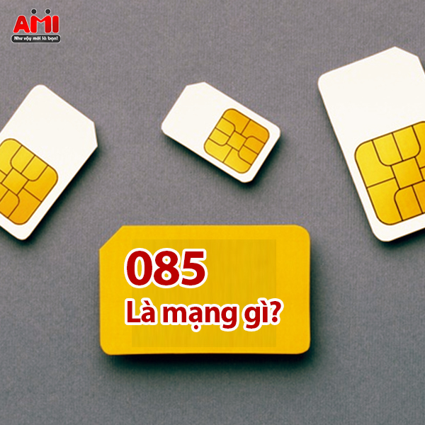085 là mạng gì