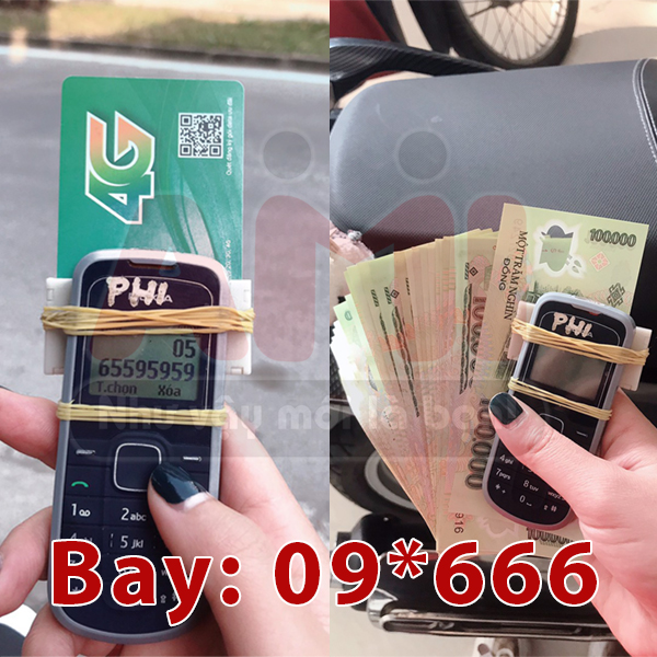 sim đuôi 666