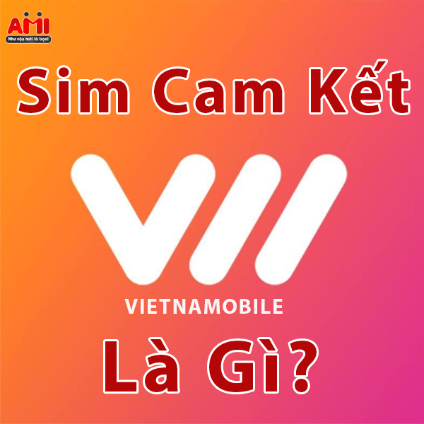 sim cam kết vietnamobile là gì