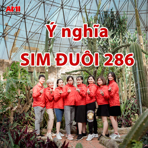ý nghĩa sim đuôi 286
