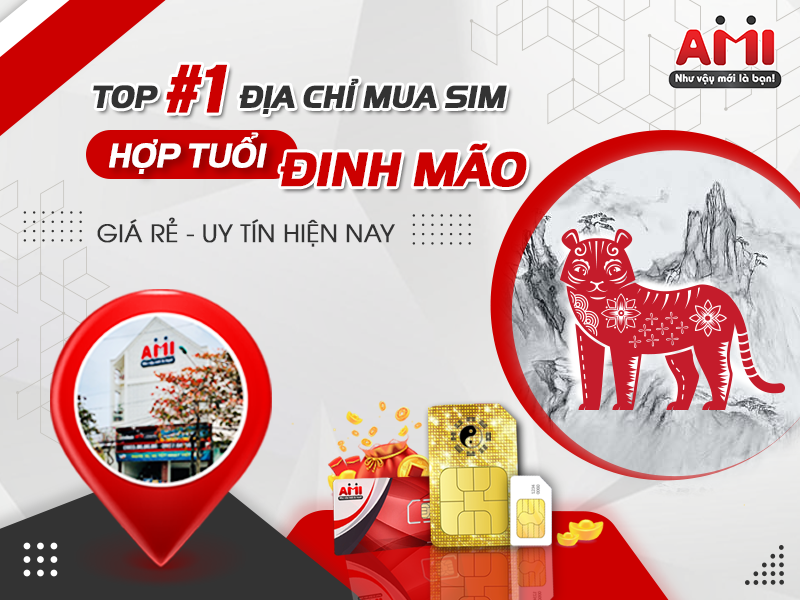 sim hợp tuổi đinh mão