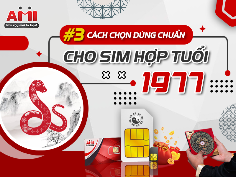 sim hợp tuổi đinh tỵ