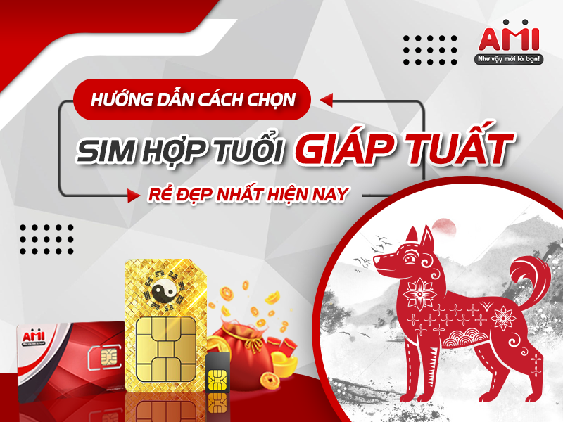 sim hợp tuổi giáp tuất