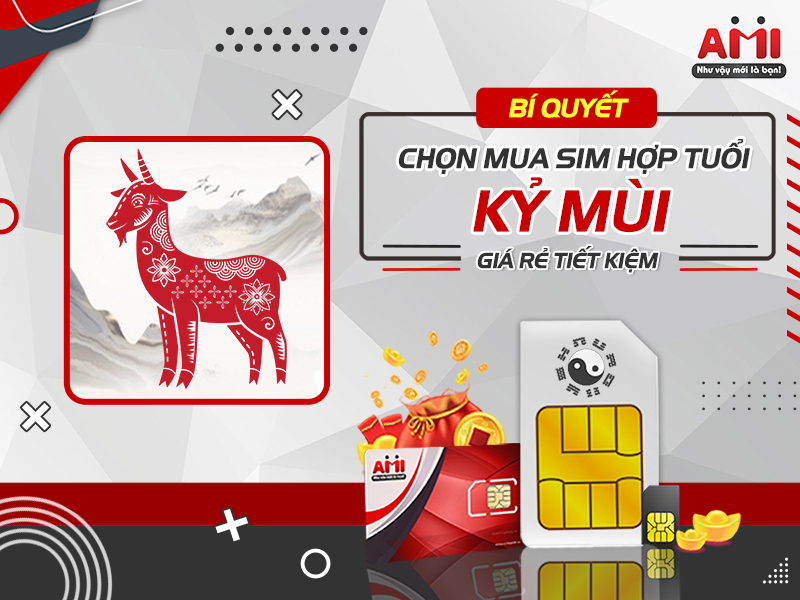 sim hợp tuổi kỷ mùi