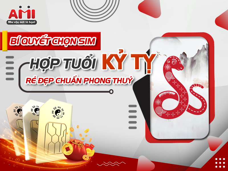 sim hợp tuổi kỷ tỵ