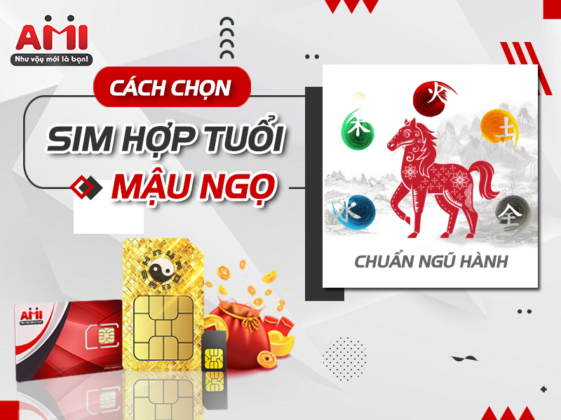 Hướng Dẫn Cách Chọn Sim Hợp Tuổi Mậu Ngọ Hợp Phong Thủy Chuẩn Ngũ Hành