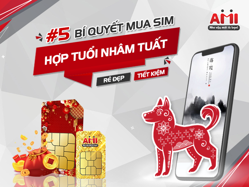 sim hợp tuổi nhâm tuất