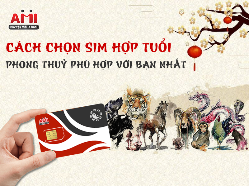 sim hợp tuổi phong thủy