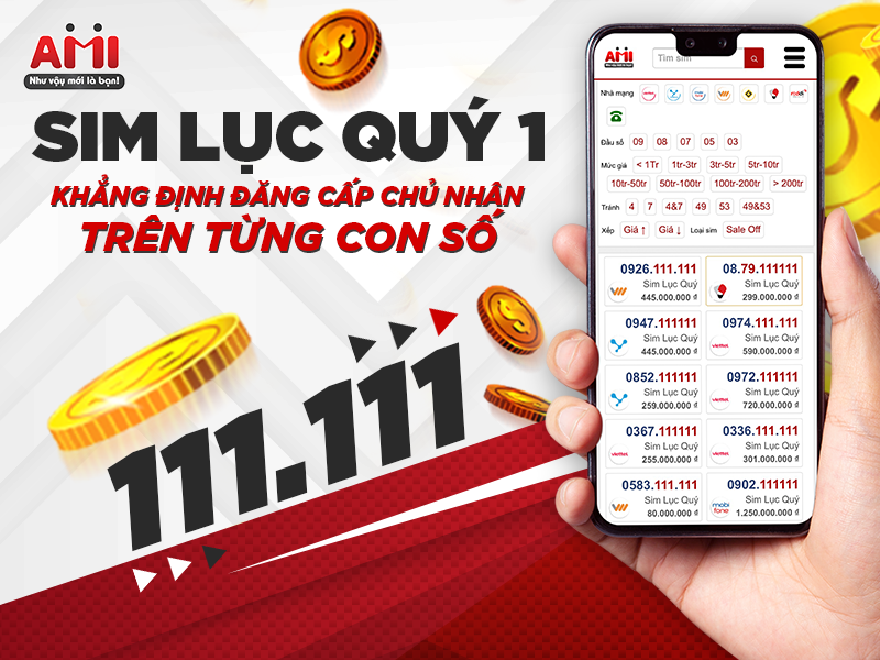 sim lục quý 1
