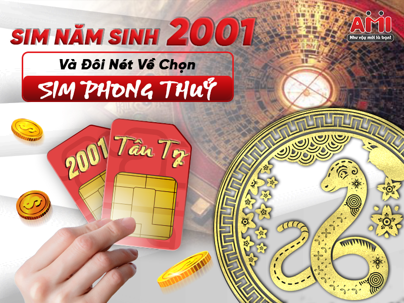 sim năm sinh 2001