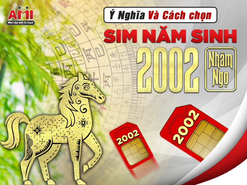 sim năm sinh 2002