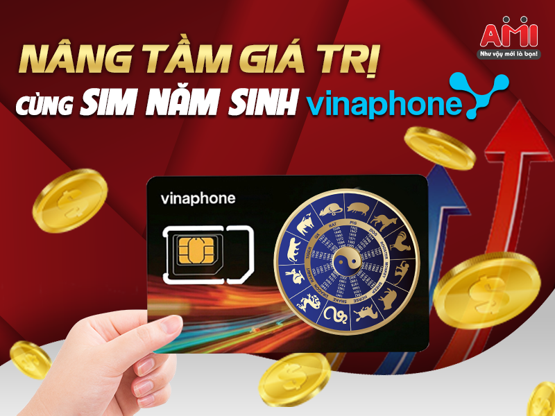 sim năm sinh vinaphone