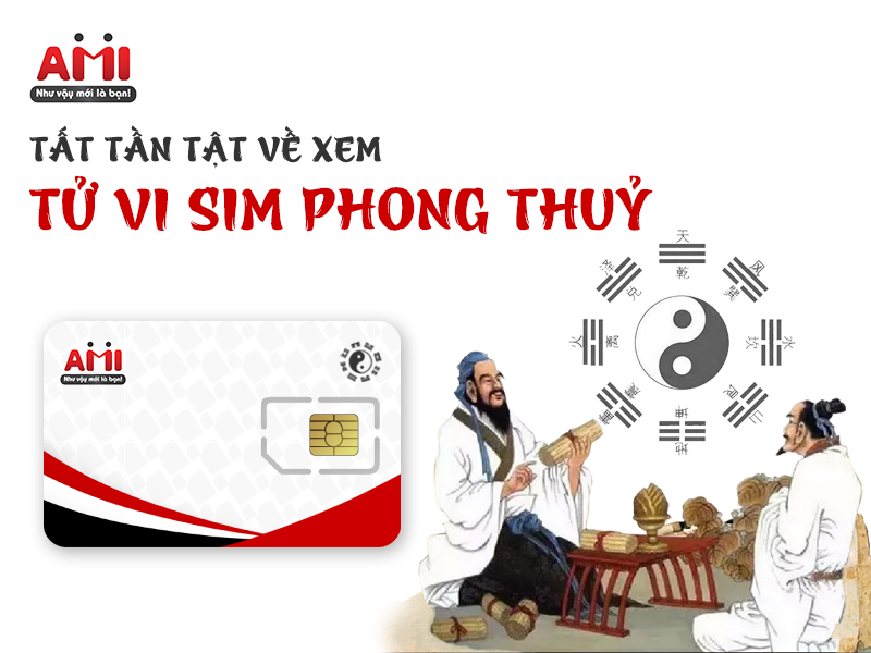xem tử vi sim phong thủy
