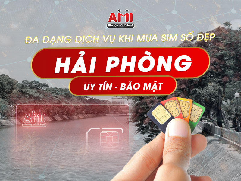 dịch vụ mua sim số đẹp hải phòng 
