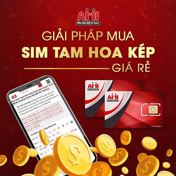 sim tam hoa kép giá rẻ