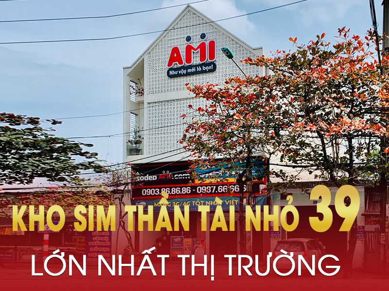 kho sim thần tài nhỏ 39