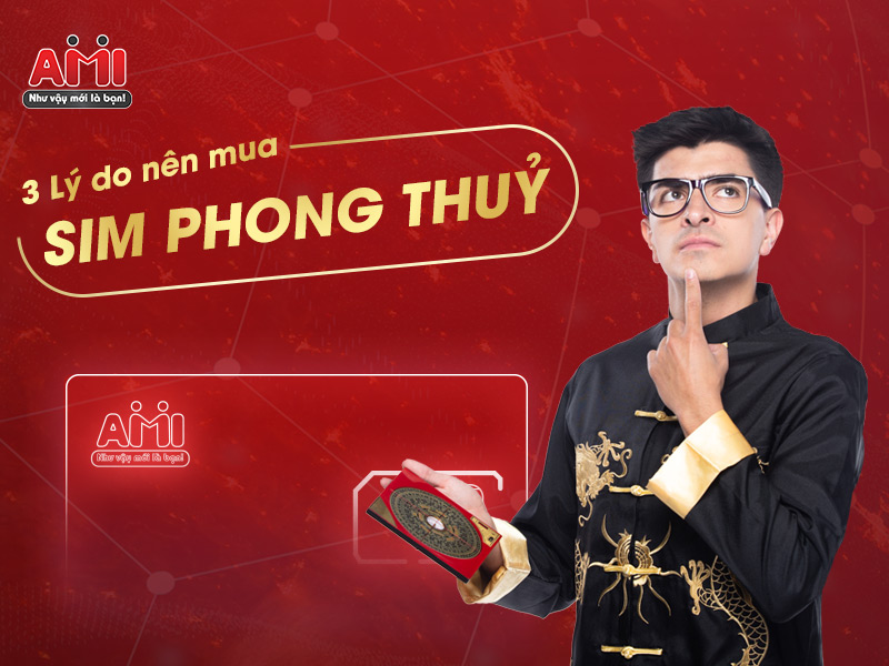 mua sim phong thuỷ