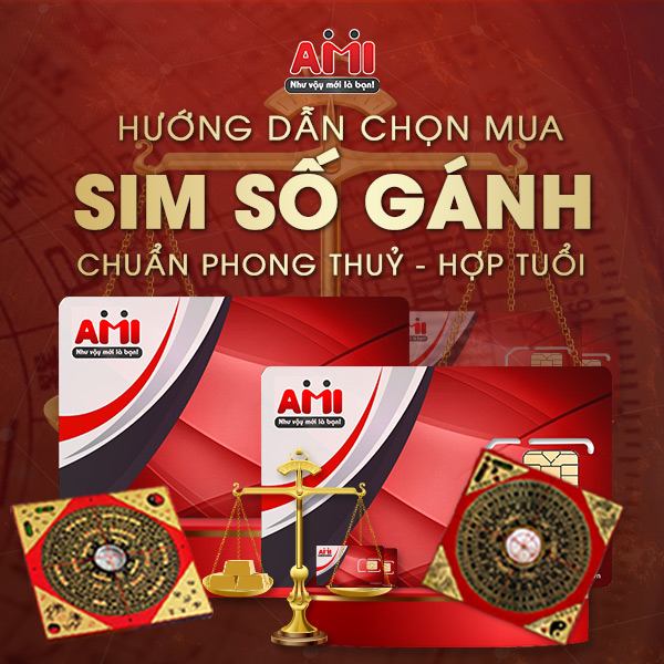 mua sim số gánh theo phong thuỷ