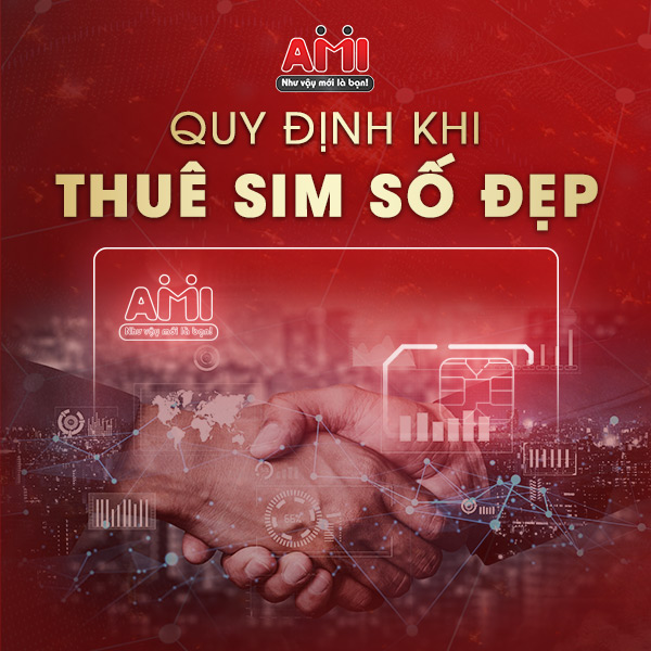 Nên tìm hiểu các thông tin trước khi thuê sim số đẹp