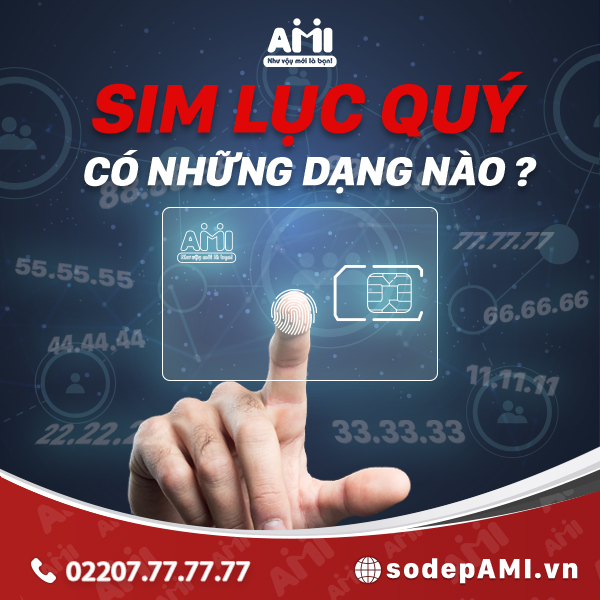 sim lục quý có những dạng nào