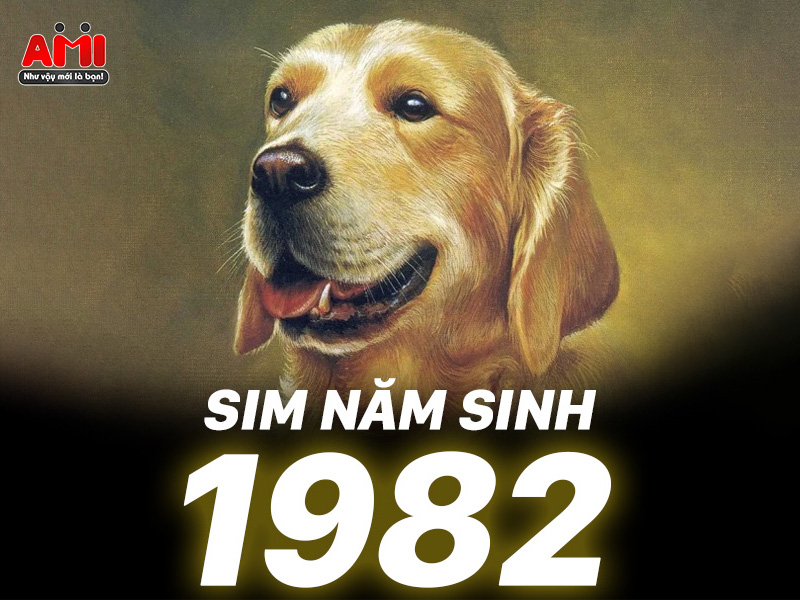 sim năm sinh 1982