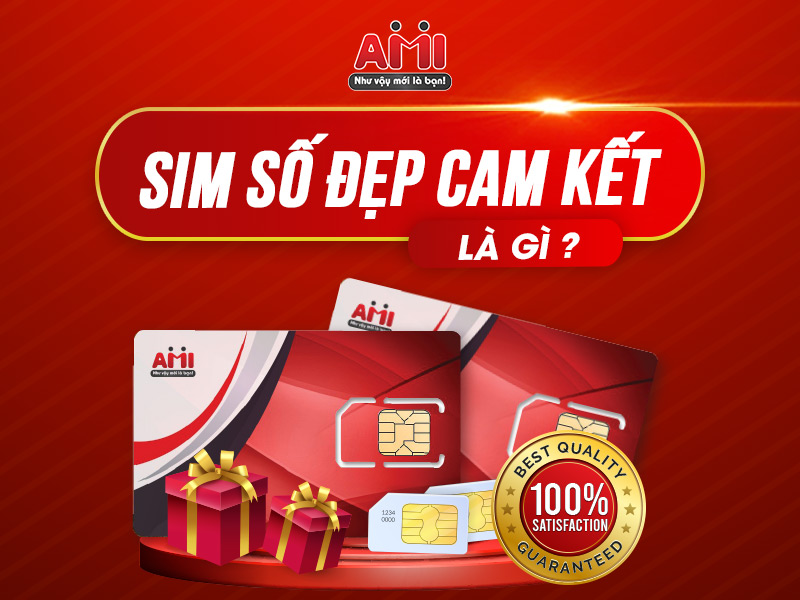 sim số đẹp cam kết là gì