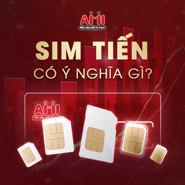 sim số tiến có ý nghĩa gì