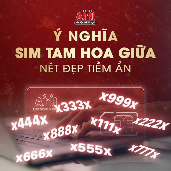sim tam hoa giữa có ý nghĩa gì