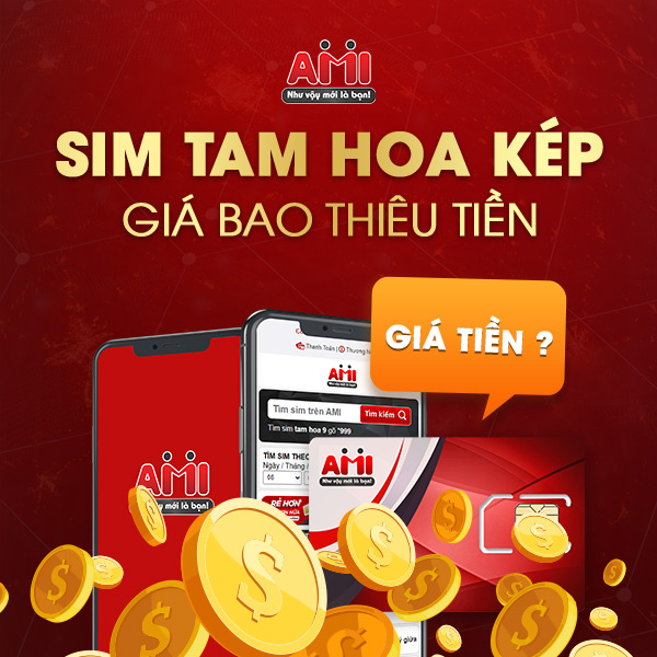 sim tam hoa kép giá bao nhiêu tiền