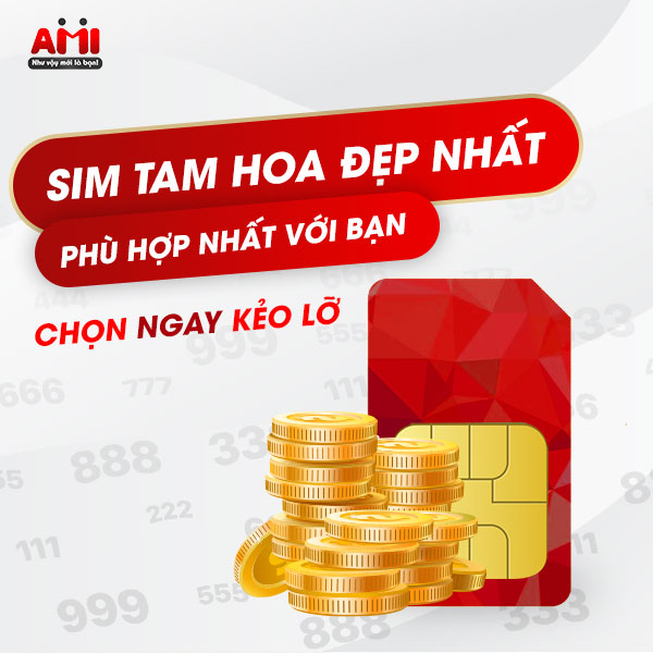 y nghia sim tam hoa