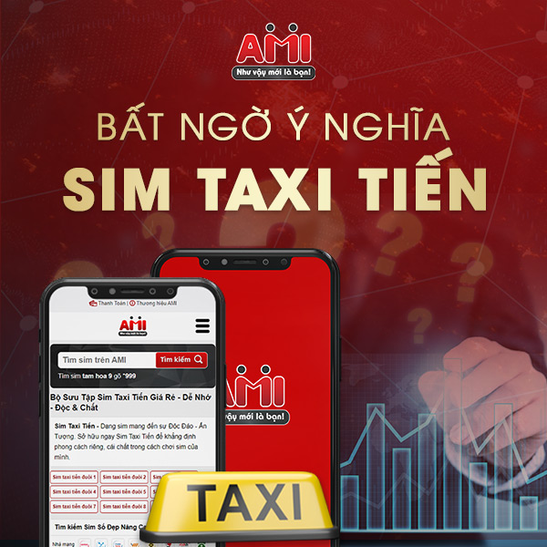 ý nghĩa sim taxi tiến