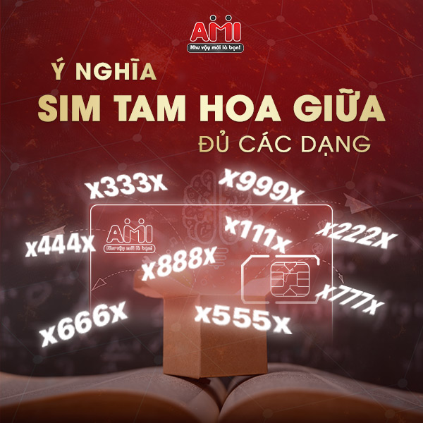 ý nghĩa sim tam hoa giữa