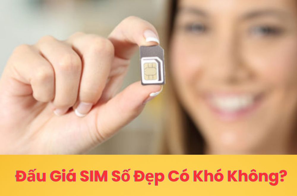 Đấu Giá SIM Số Đẹp Có Khó Không? Những Điều Người Mới Cần Biết
