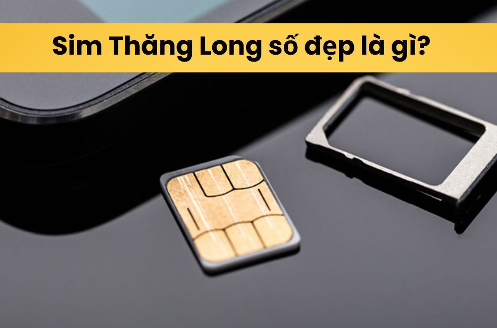 Mua Sim Thăng Long Số Đẹp Ở Đâu Uy Tín? Bảng Giá & Kinh Nghiệm Thực Tế