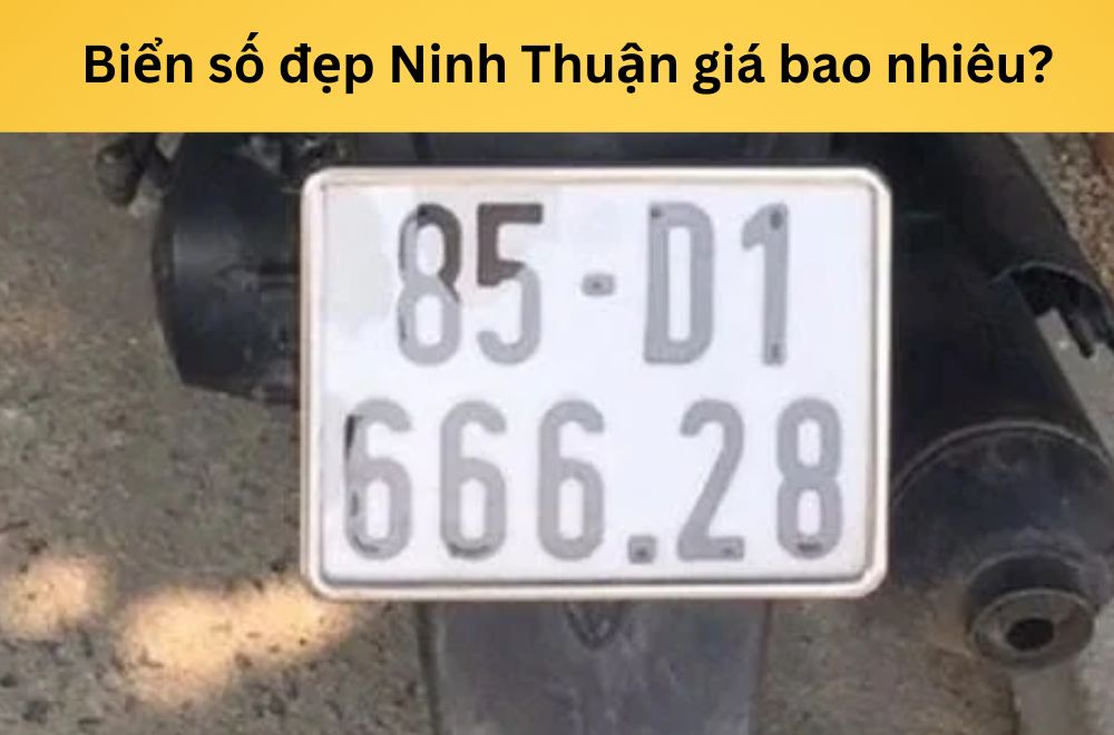 Biển số đẹp Ninh Thuận giá bao nhiêu? Tham khảo bảng giá dự đoán mới nhất