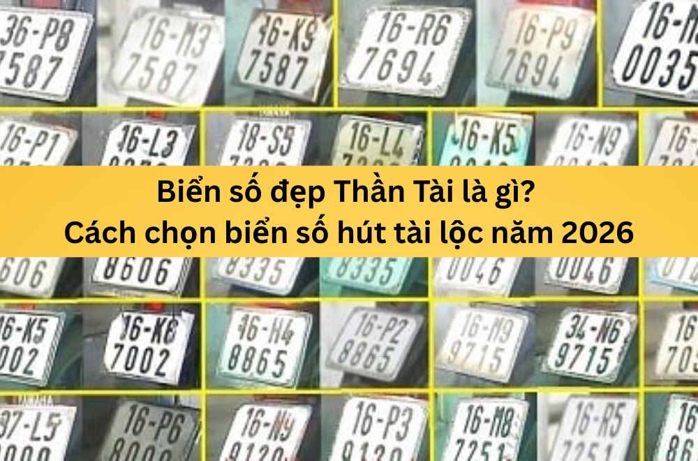 Biển số đẹp Thần Tài là gì? Cách chọn biển số hút tài lộc năm 2026