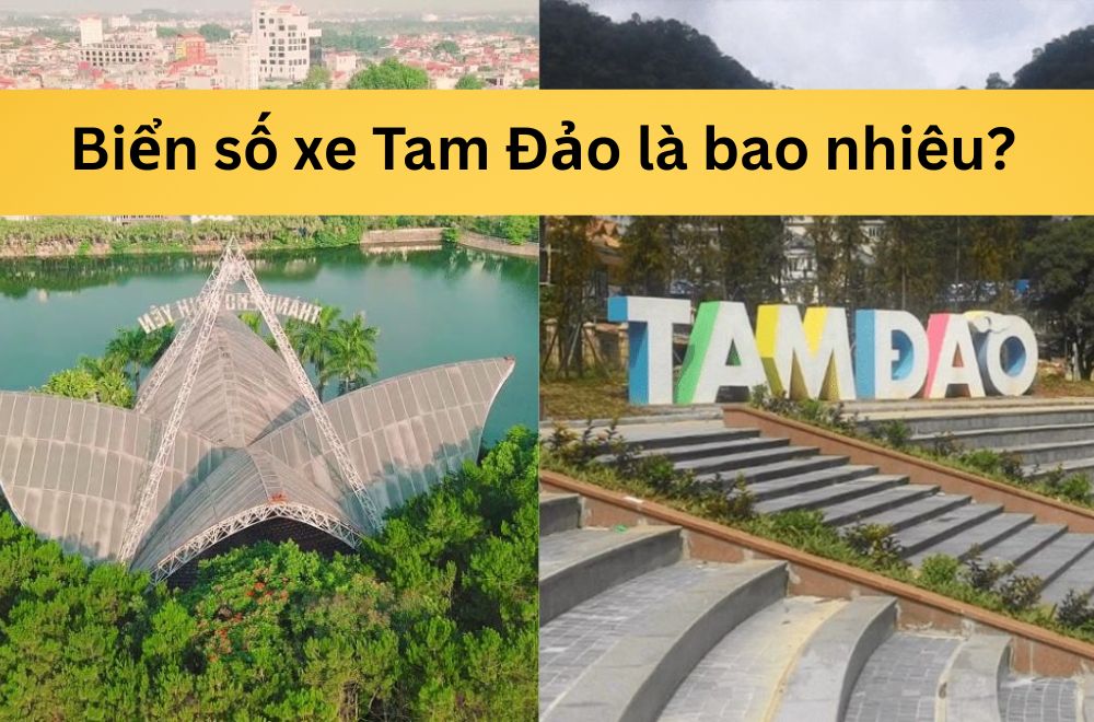 Biển số xe Tam Đảo là bao nhiêu? Thuộc tỉnh nào? Giải mã chi tiết từ A–Z