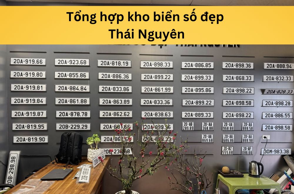 Tổng hợp kho biển số đẹp Thái Nguyên – Ý nghĩa & cách chọn biển VIP