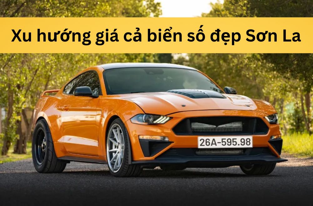 Xu hướng giá cả biển số đẹp Sơn La trong những năm tới