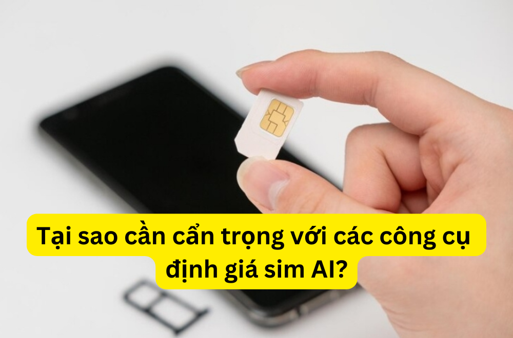 Bạn cần cẩn trọng khi sử dụng các công cụ định giá sim AI