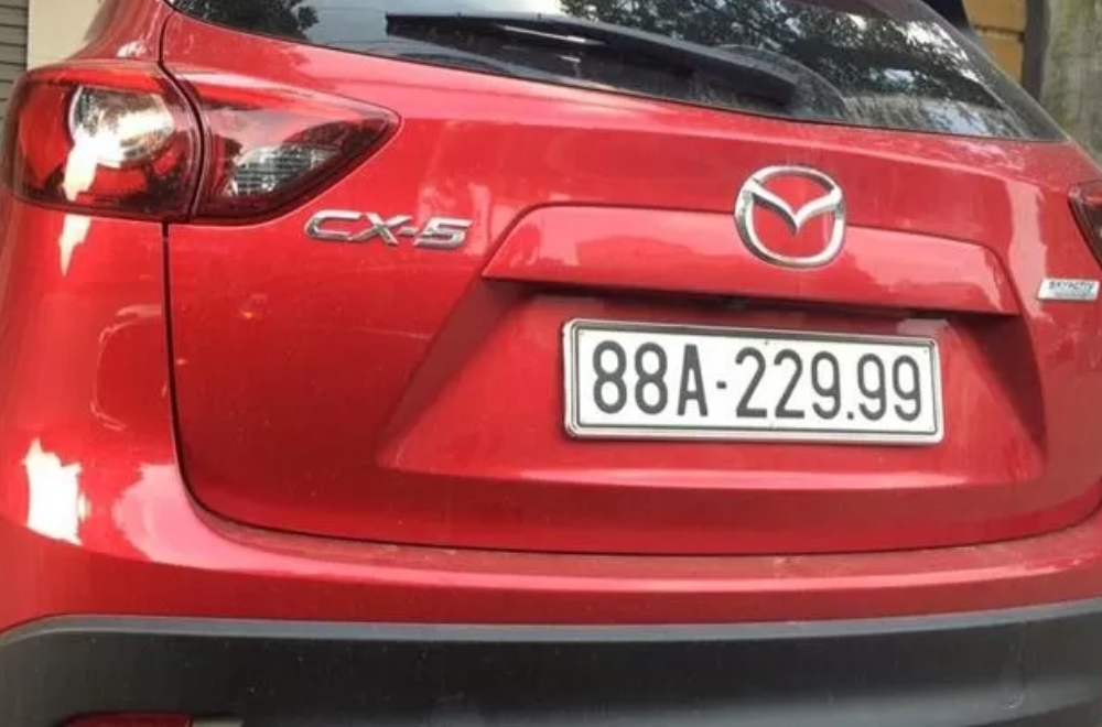 Biển số đồng hoa tạo sự cân đối, dễ nhớ với mức giá dễ tiếp cận