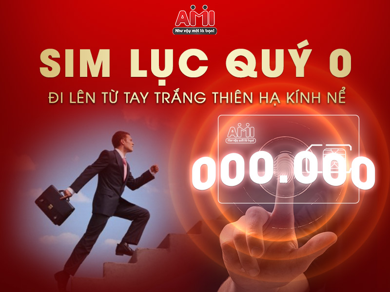 Ý nghĩa sim lục quý 0