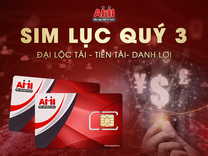 Sim lục quý 3