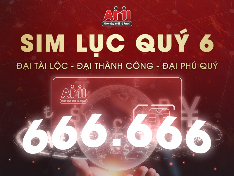 Sim lục quý 6