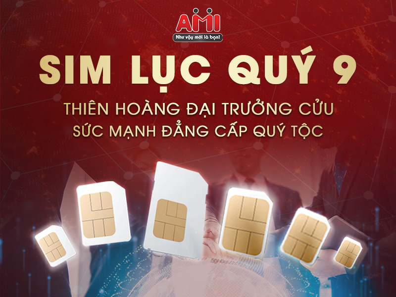 Sim lục qu&yacute; 9