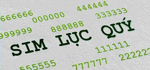 sim-luc-quy