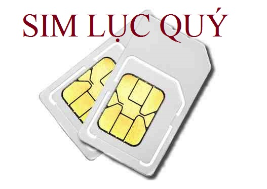 Ý nghĩa của dòng sim lục quý
