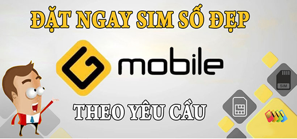 ly-do-ban-nen-so-huu-mot-day-sim-so-dep-gmobile-1.png