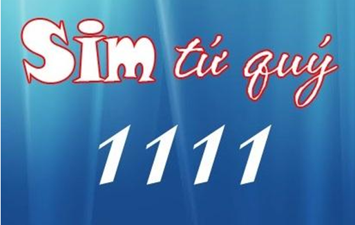 sim-tu-quy-1