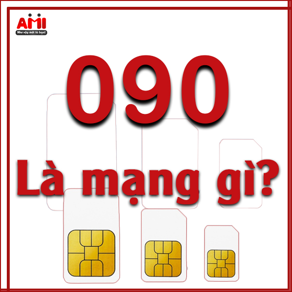 090 là mạng gì